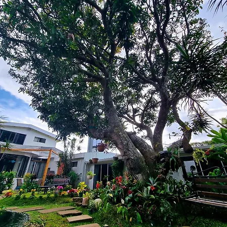 Casa Jardin Del Mango Hotel